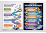 illustrate professional graphic design, flow chart, infographic design